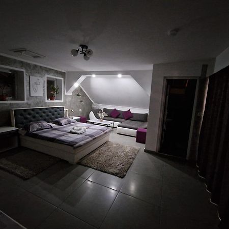 Cazare Moldi - Regim Hotelier Câmpulung Moldovenesc エクステリア 写真