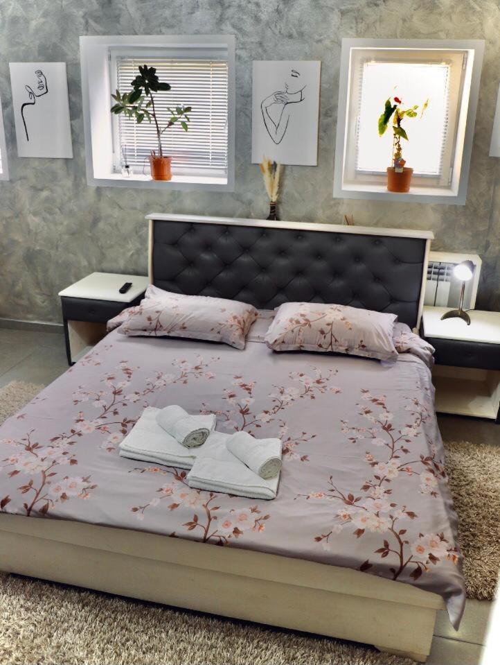 Cazare Moldi - Regim Hotelier Câmpulung Moldovenesc エクステリア 写真