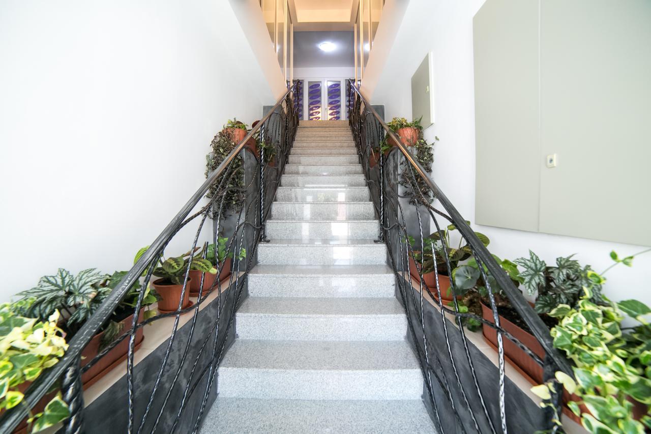 Cazare Moldi - Regim Hotelier Câmpulung Moldovenesc エクステリア 写真